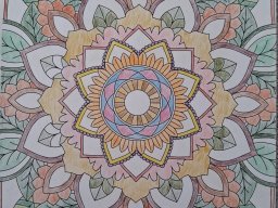 whatsapp image 2026-01-01 at 12.10.13